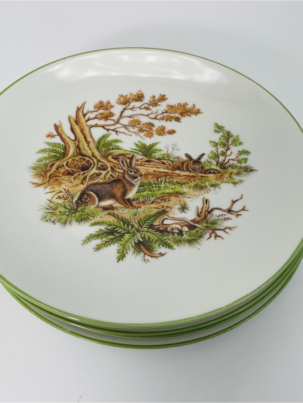 Bareuther Waldsassen Bavaria Germany Woodland Wildlife Salad Plates Set of 4 - Picture 5 of 10